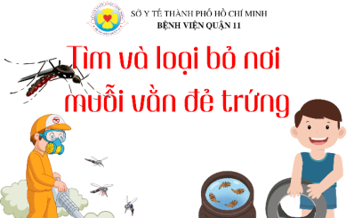 (HCDC-Clip) Tìm và loại bỏ nơi muỗi vằn đẻ trứng